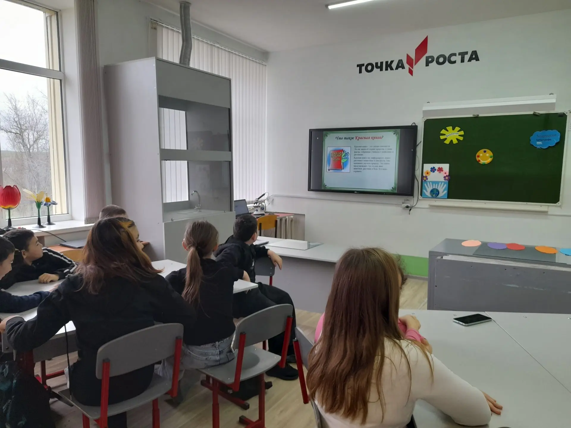15 апреля для обучающихся 5 класса МБОУ «Каштановская СОШ им. Героя Советского Союза Во...