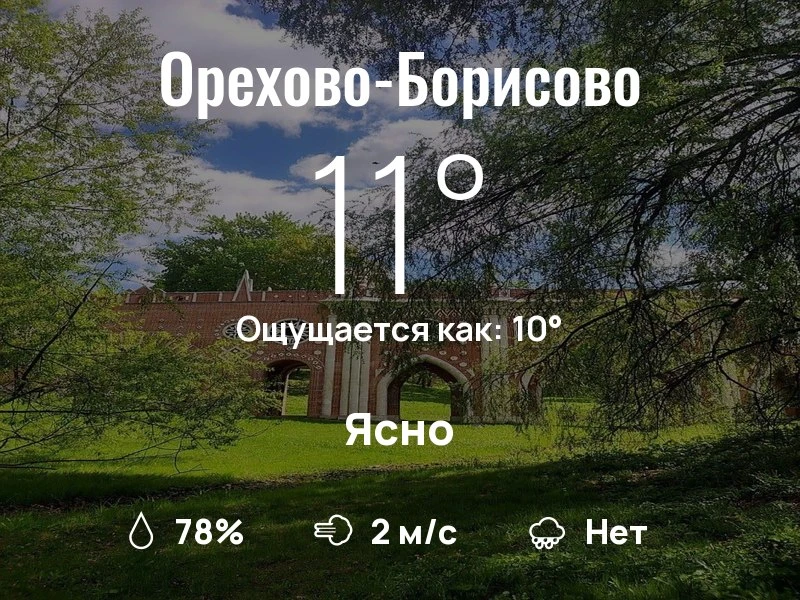 Что с погодой в Орехово-Борисово?
