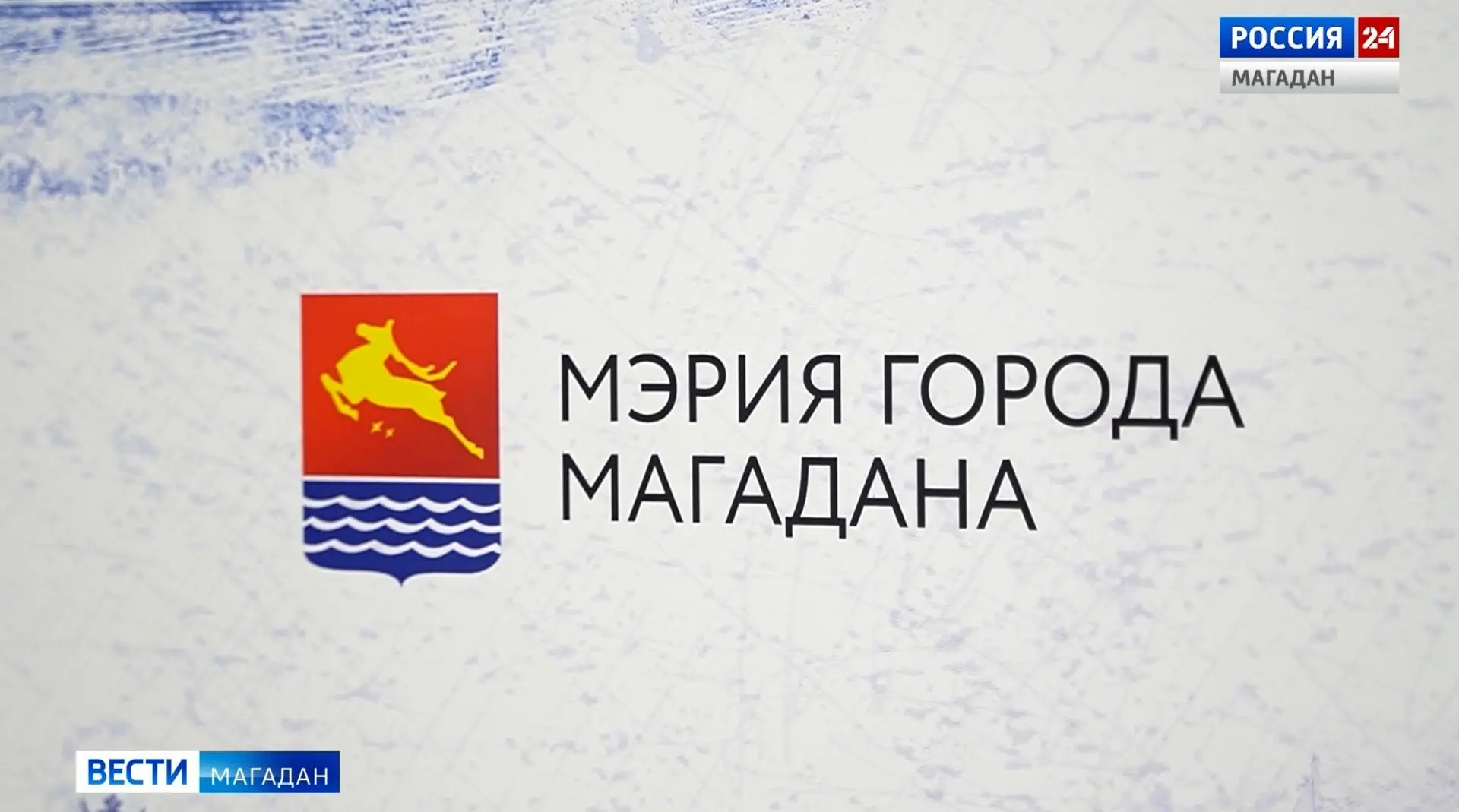Мэрия Магадана проводит проверку после сообщения о якобы медведе, разрывшем могилу на к...