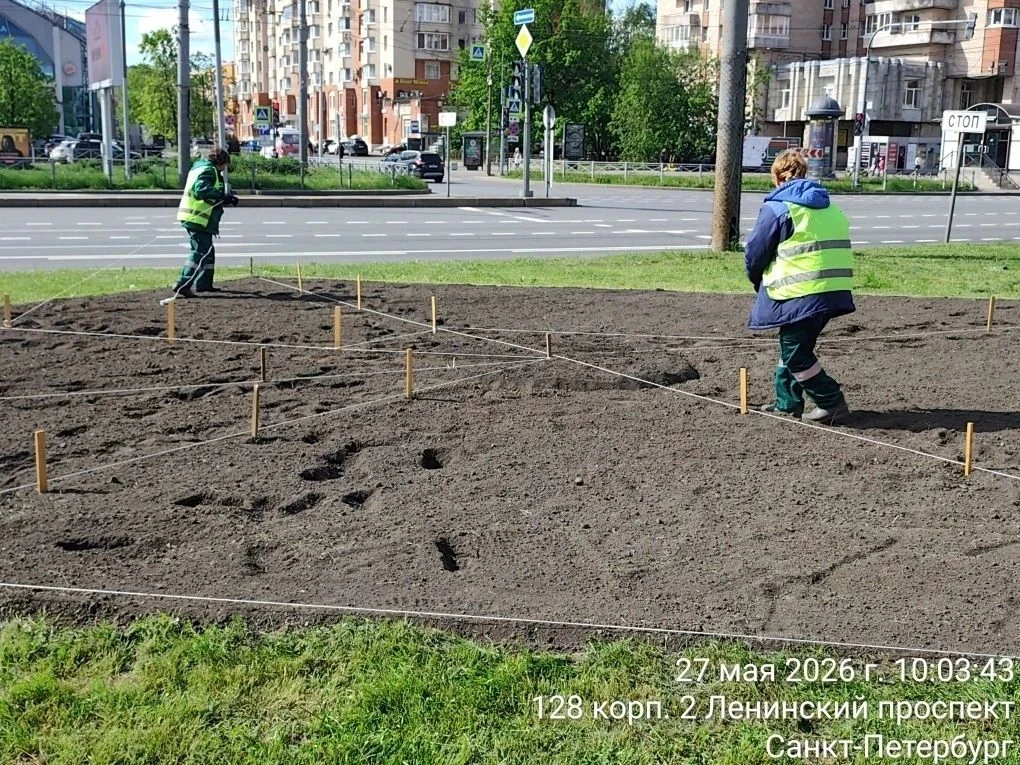 Мы начали высаживать летние цветники 🌿