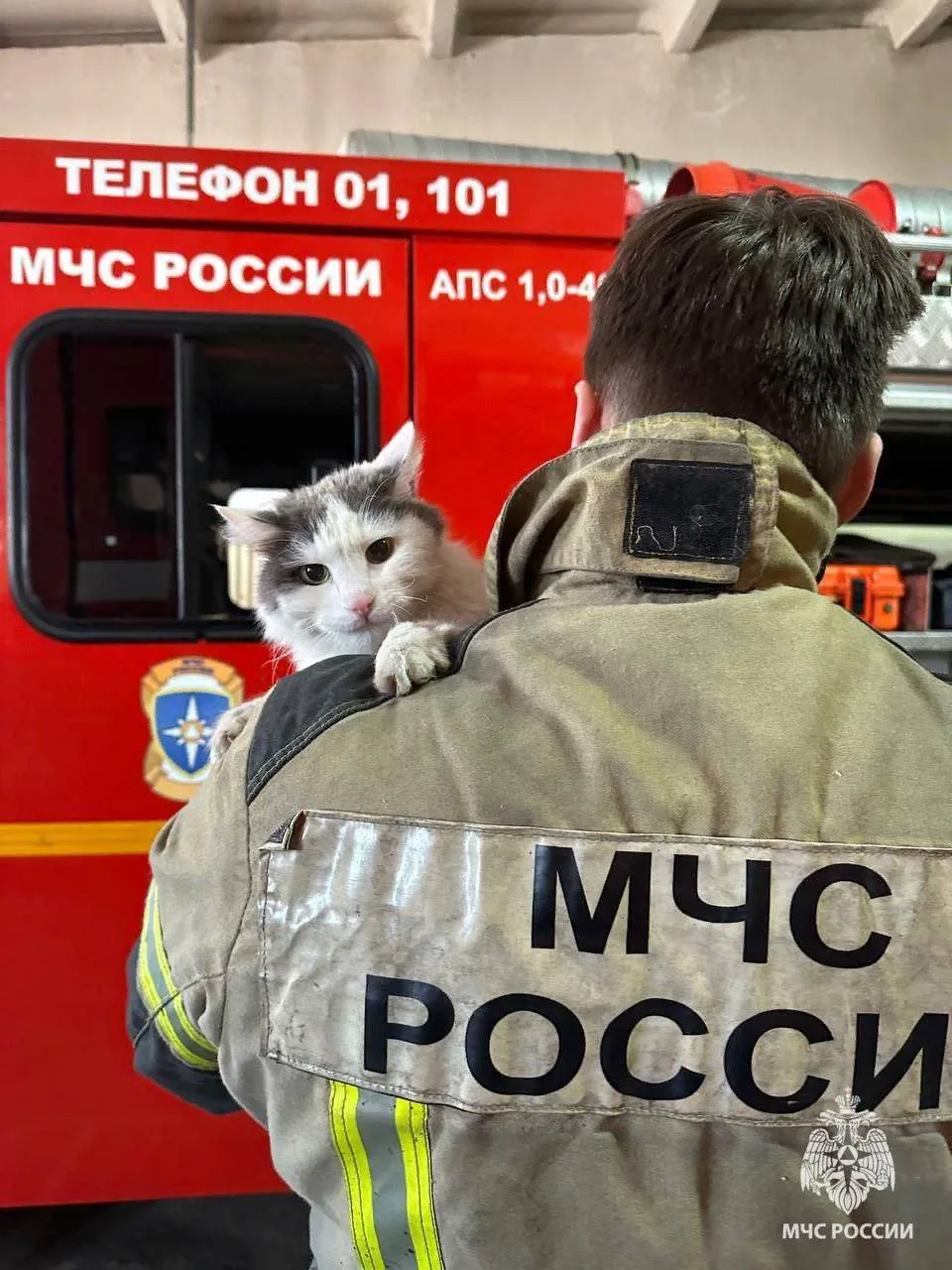 Доброе утро!