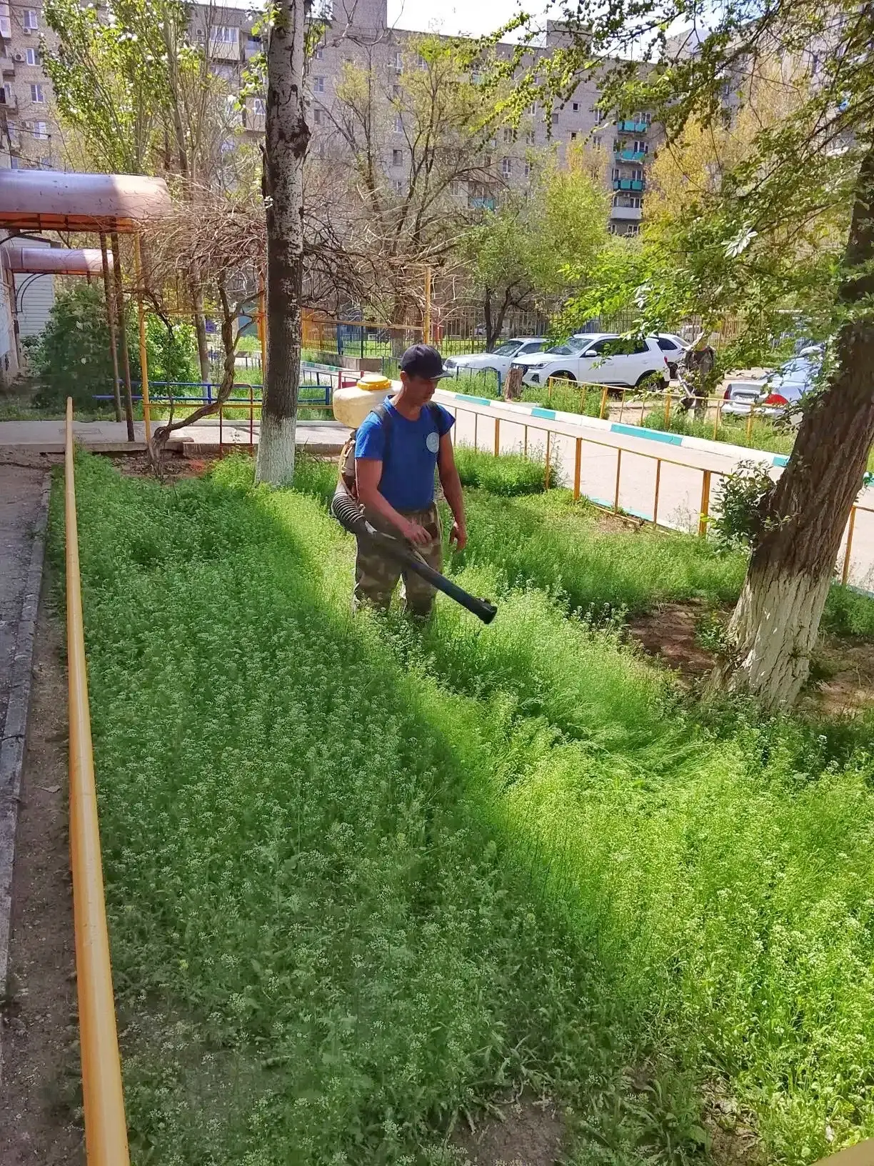 К новости «✨ Свободное дыхание и порядок во дворе!»