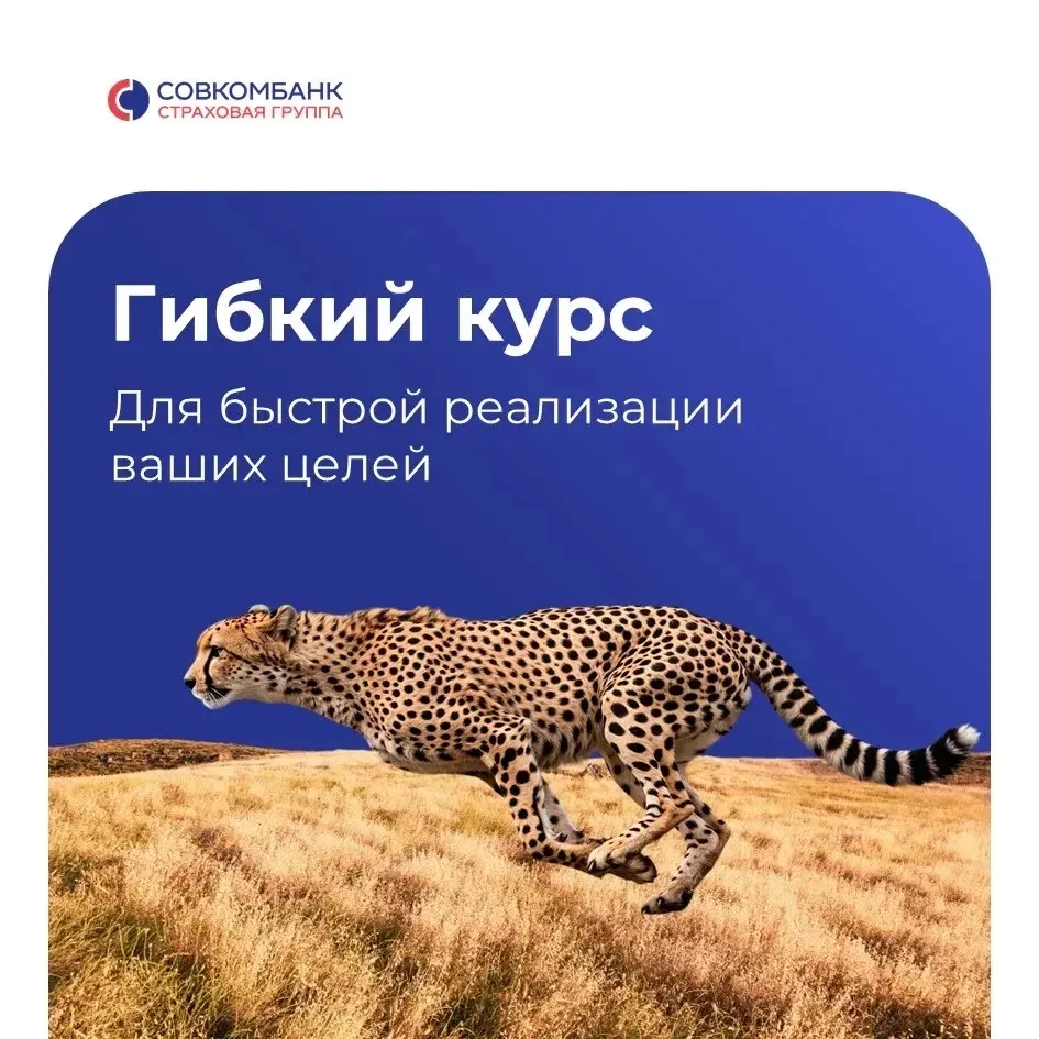Быстрая программа накоплений + базовая страховая защита ⚡