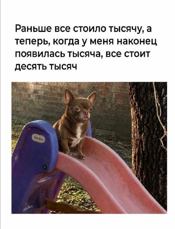 Ставь лайк! ❤️