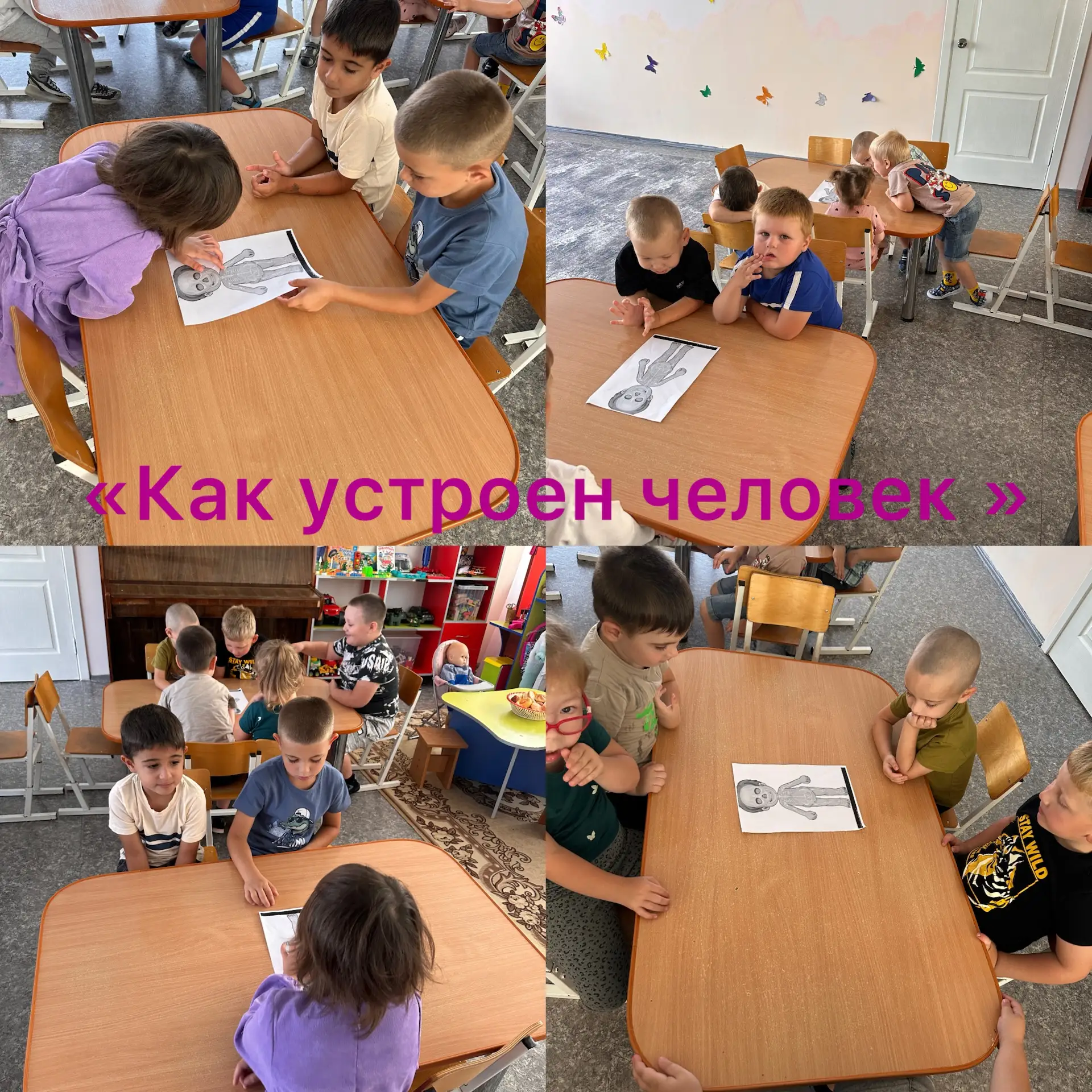 «Как устроен человек?» 🔬