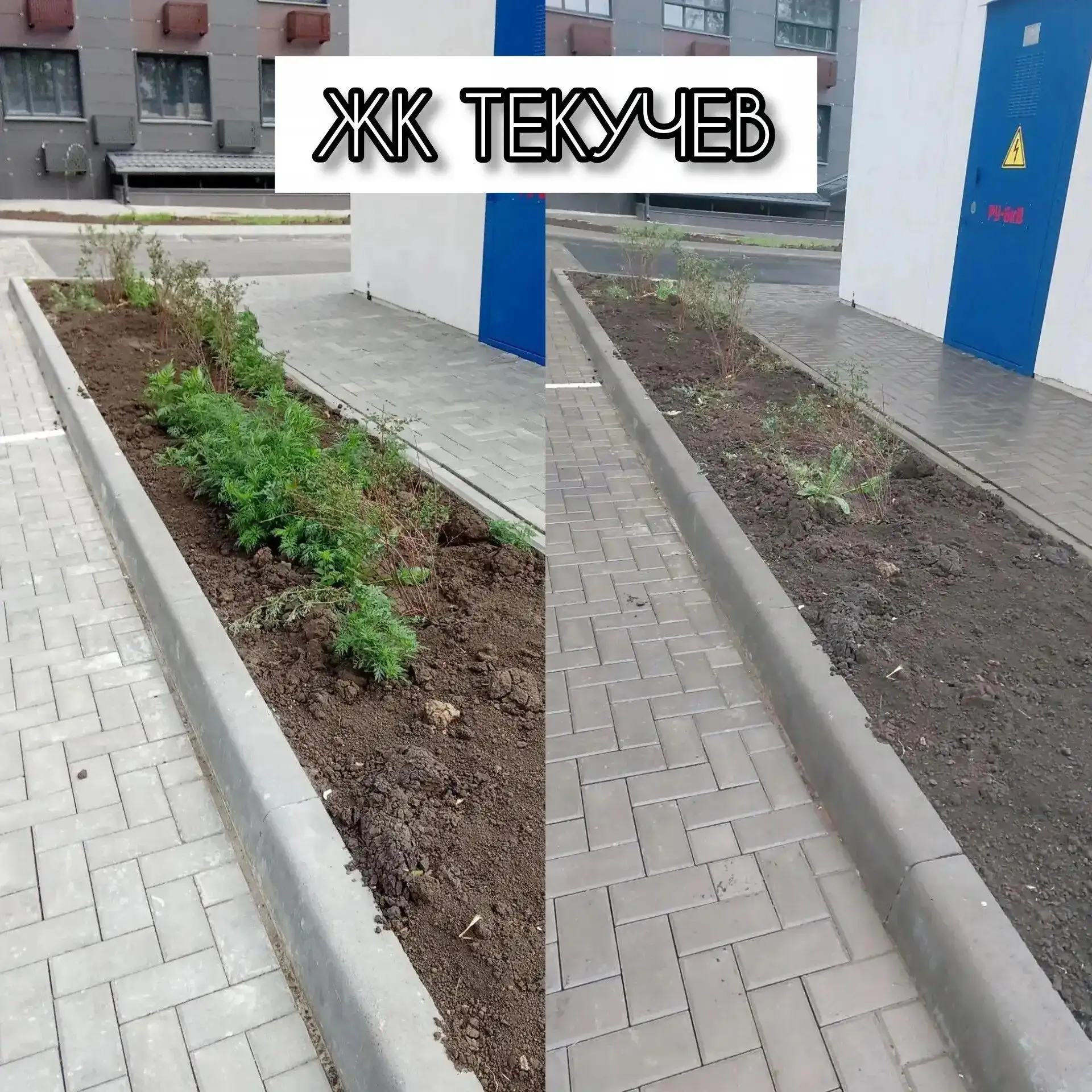 📄📸  Публикуем отчет тех работ, которые были выполнены!