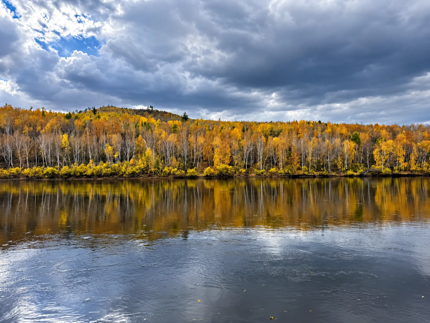 Камера как точка роста: всё начинается с доверия 📸🍂