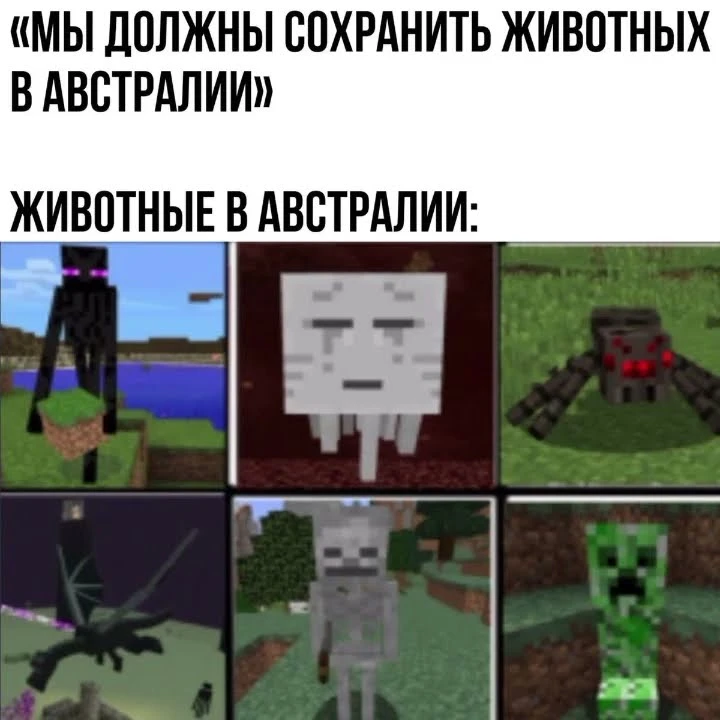🤣