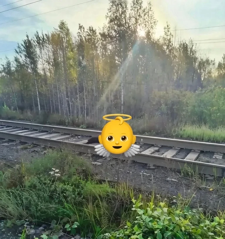 😳Медвежонка, видимо, сбили на ЖД!