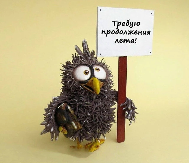 В «Косе» устраивают 32 августа 🗓