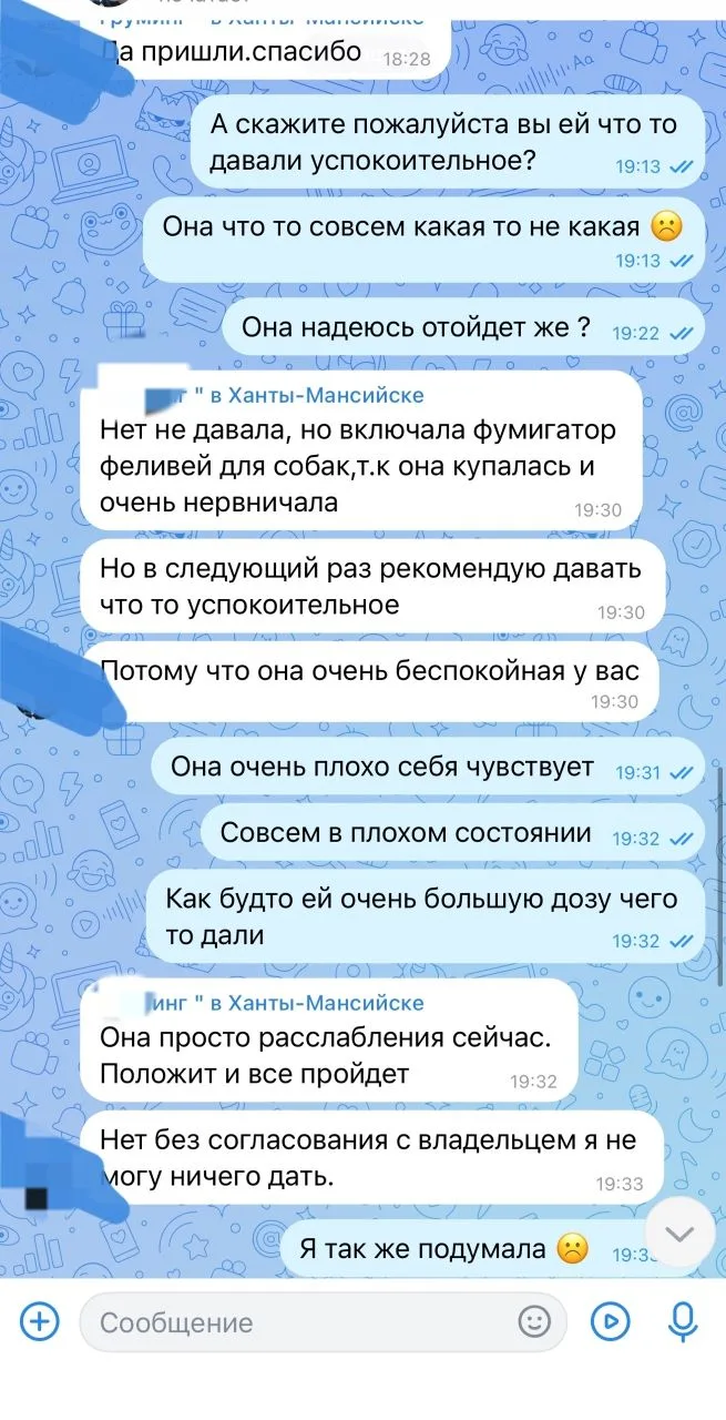 1 апреля 2026 года в 15:00 мы отвезли нашу собаку Лею породы Йоркширский терьер к грумеру Гр***нг в 