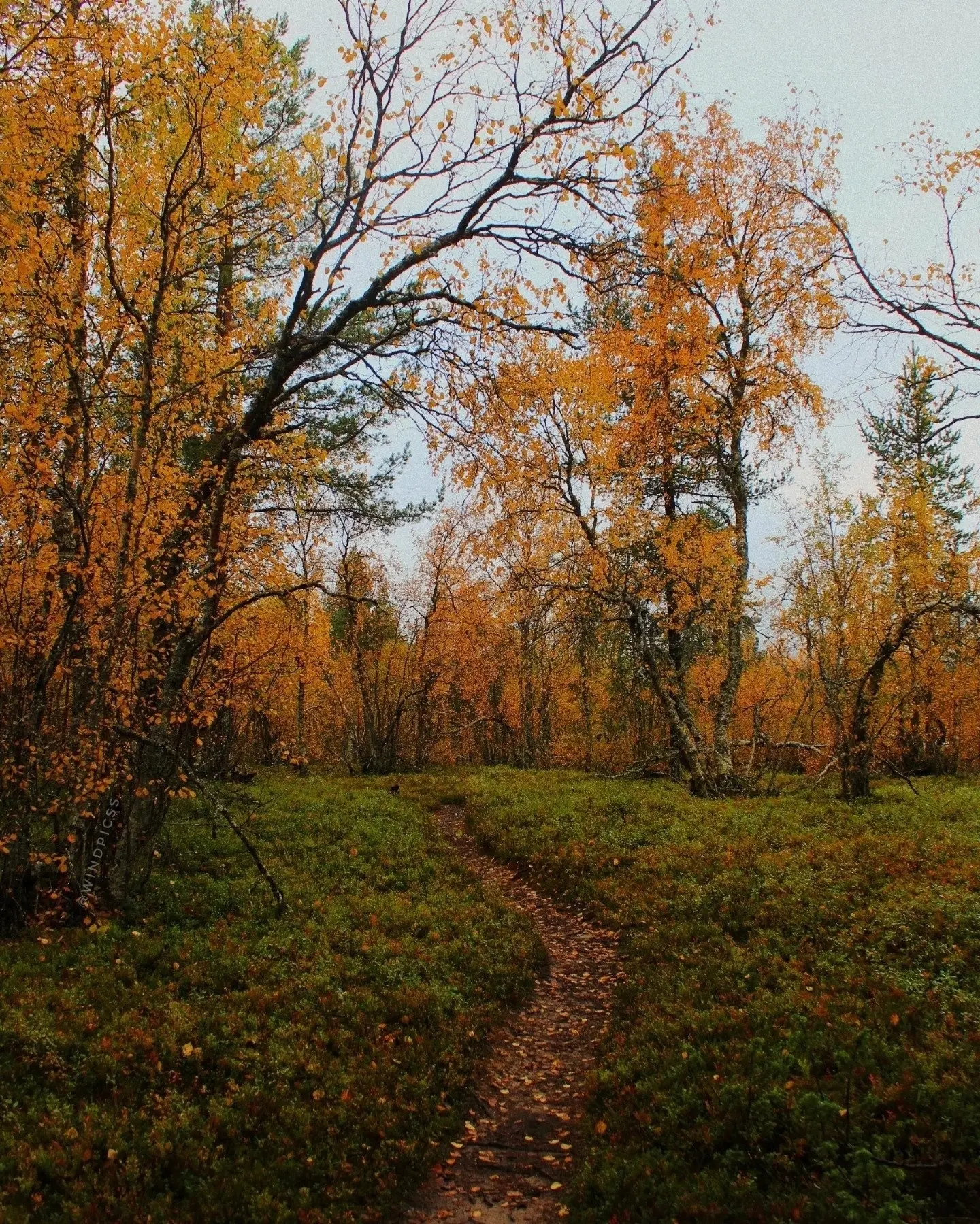 02.10 - доверяйте себе