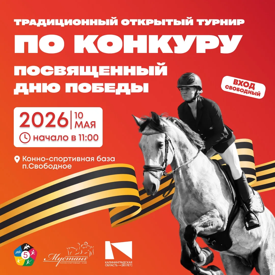 ‼️Анонс‼️