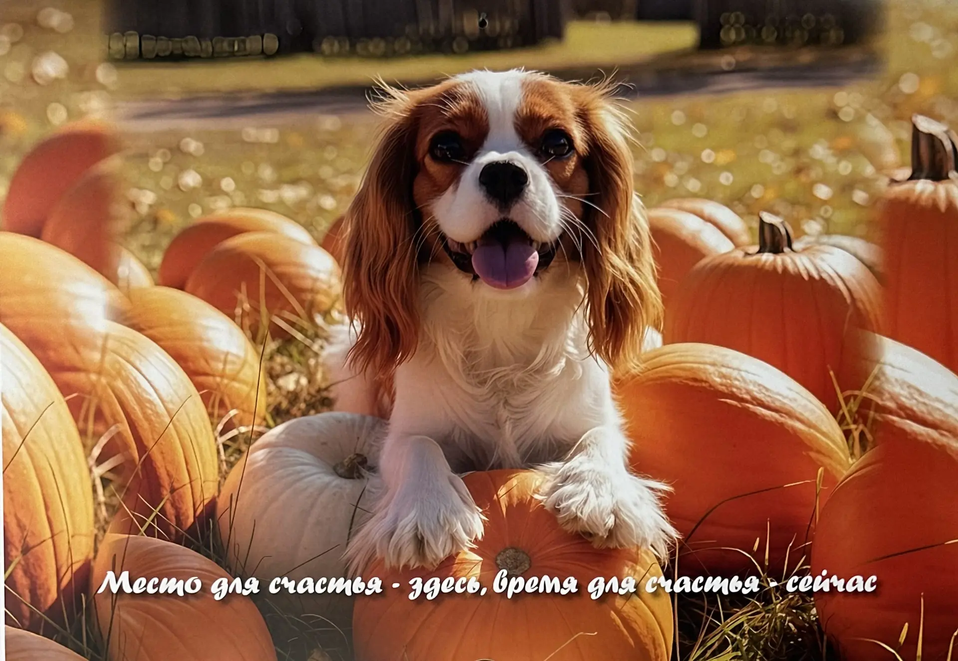 ДОБРОЕ УТРО! ☀️