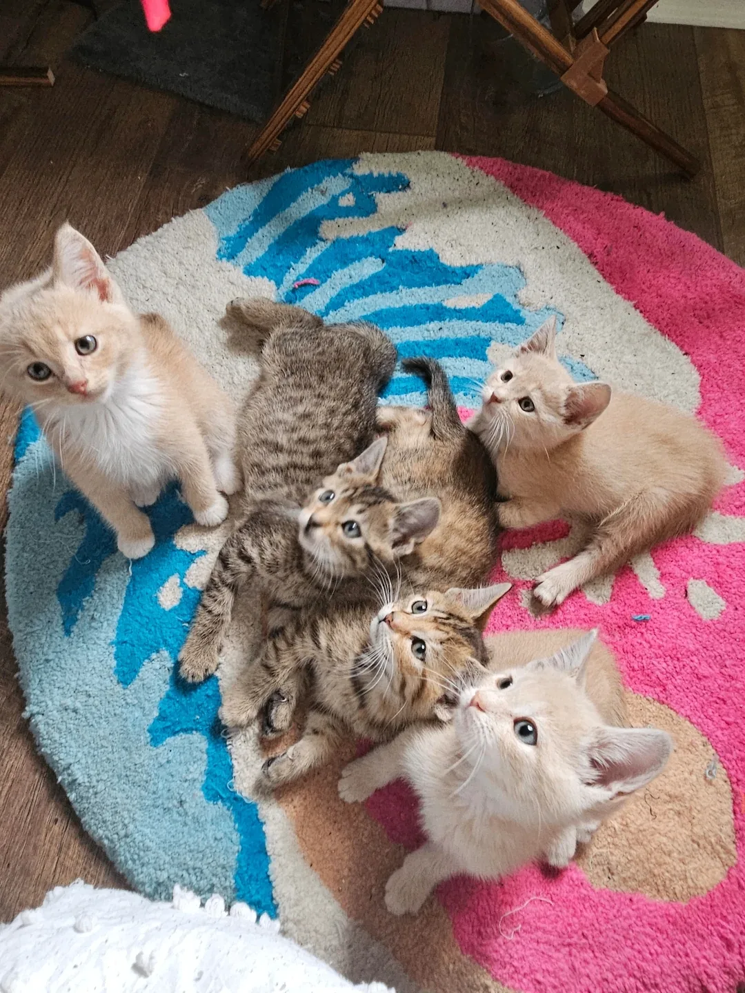 Детский сад 😸😻😻😻😻
