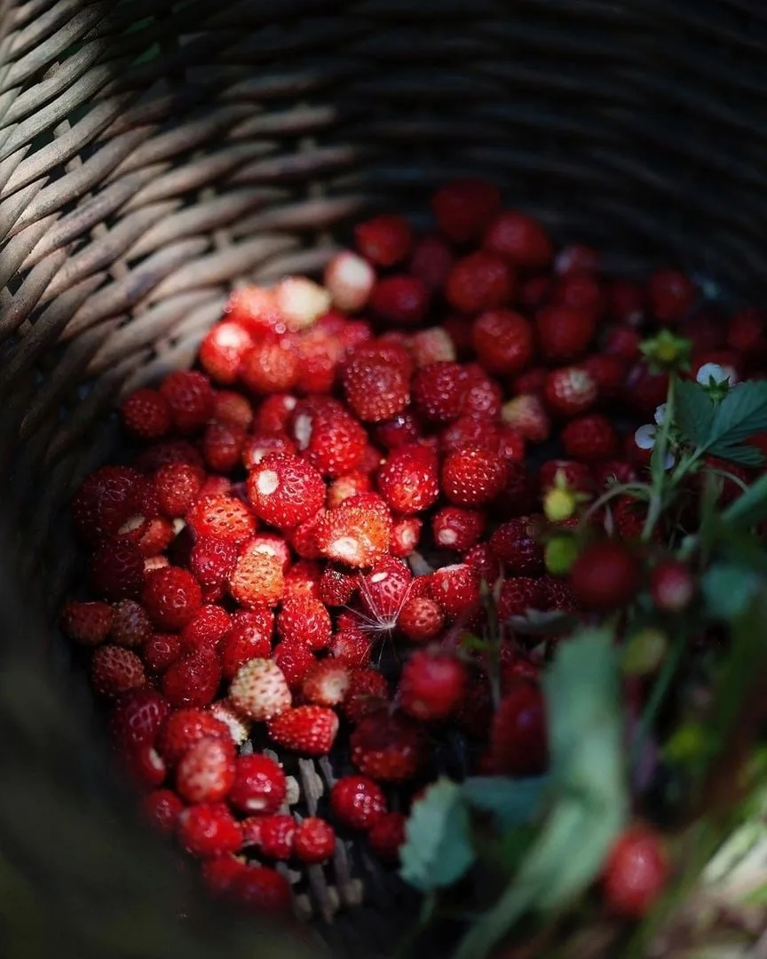 🌿🍓 Обещаю тебе, лето, прожить каждый твой день. Сейчас, в настоящем. И до самой после...