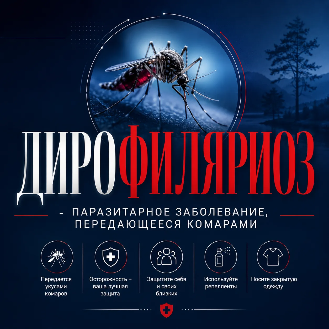 📌 Роспотребнадзор информирует 

ДИРОФИЛЯРИОЗ — ПАРАЗИТАРНОЕ ЗАБОЛЕВАНИЕ, ПЕРЕДАЮЩЕЕСЯ КОМАРАМИ

Дир