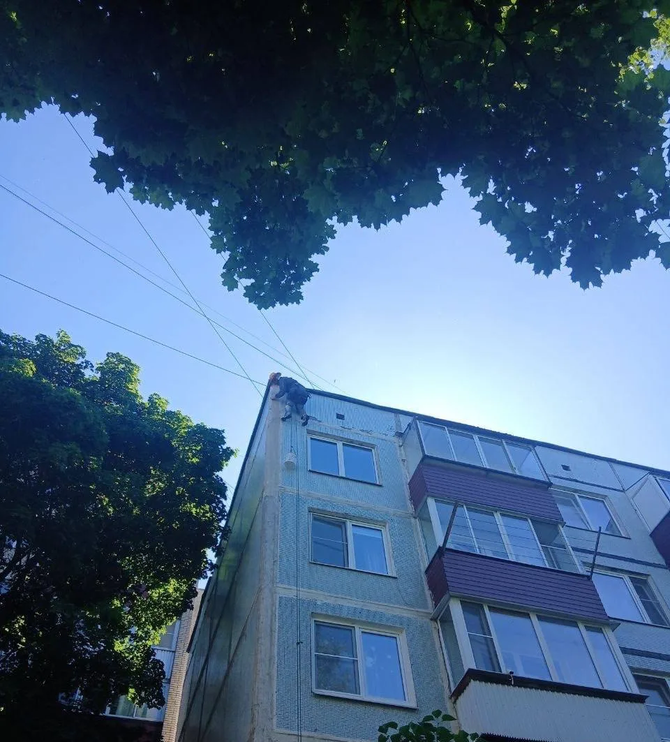 🧗‍♂️Альпинисты проводят работы по герметизации межпанельных швов на 📍ул. Вокзальная д.2

🔩 В рамк