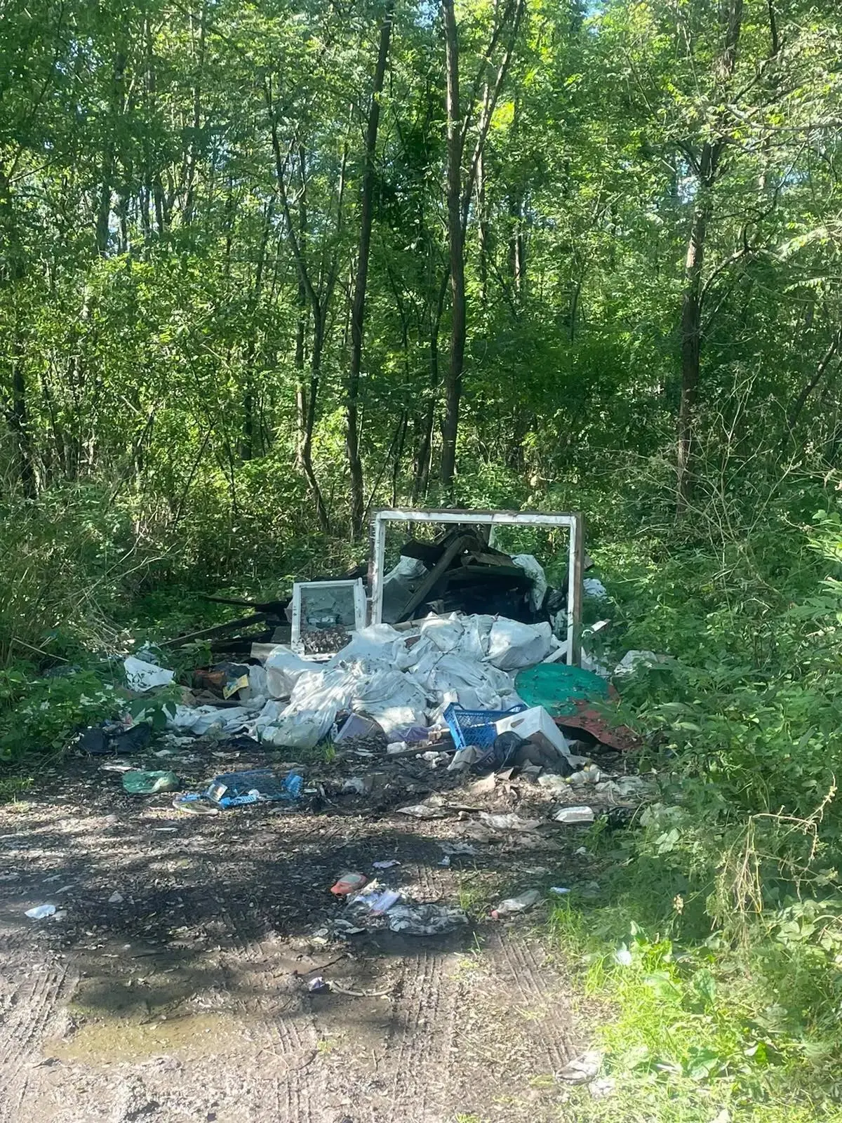 Вокруг Водной станции во Владикавказе убрали 12 стихийных свалок