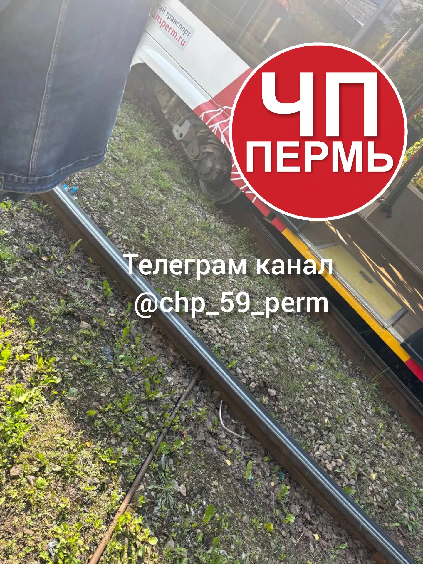 7 трамвай сегодня сошел с рельс на Перми 2..

🔴 ЧП Пермь @chp_59_perm
📨 Прислать новость [контакт 