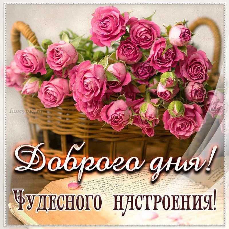 С добрым утром❤️

Первый Пенсионерский 

👉Выплаты и Льготы