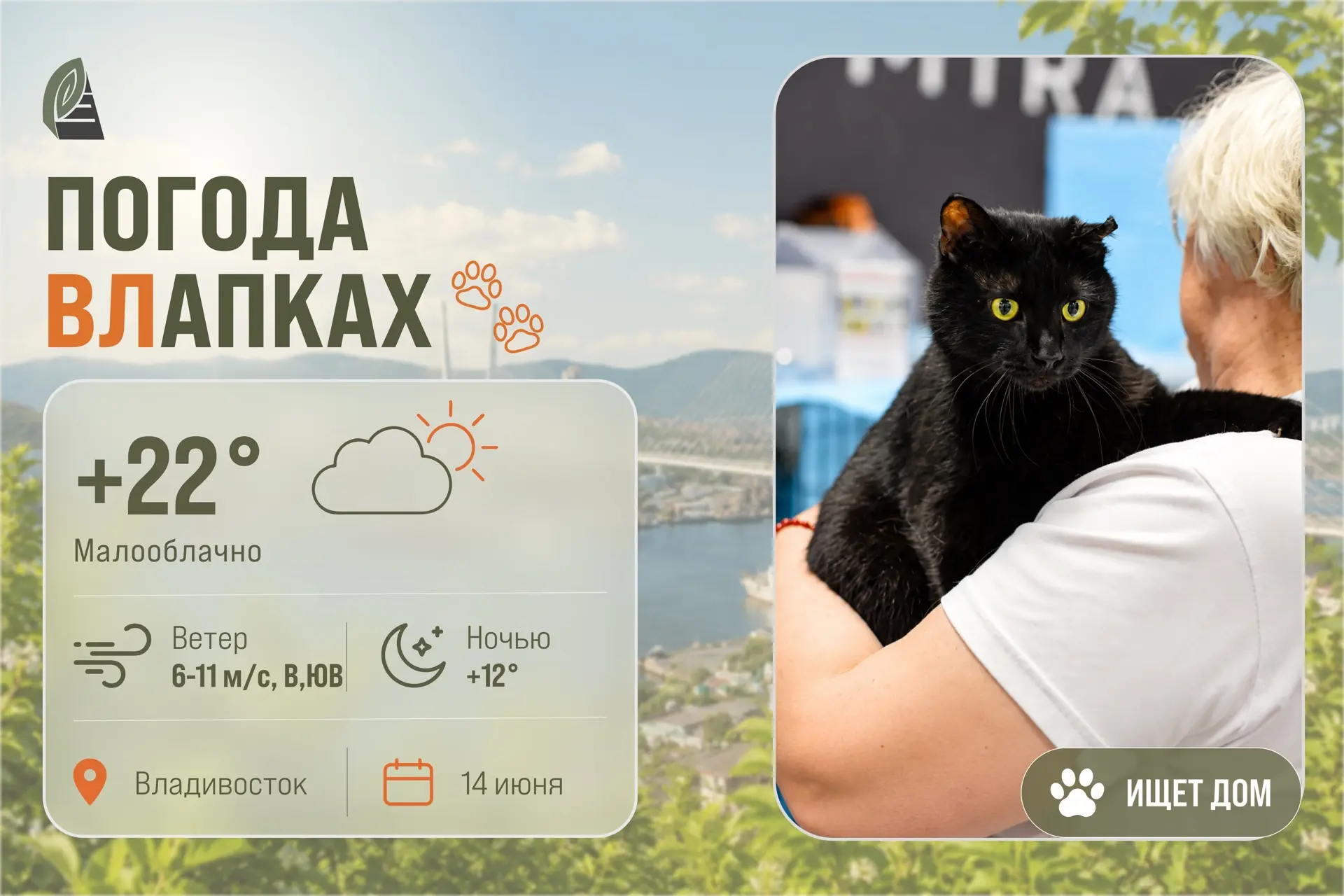 #ПогодаВЛапках

🌤️ Малооблачно. 

В прогнозе – кот-компаньон Байкер. Его нашли на побережье, когда 