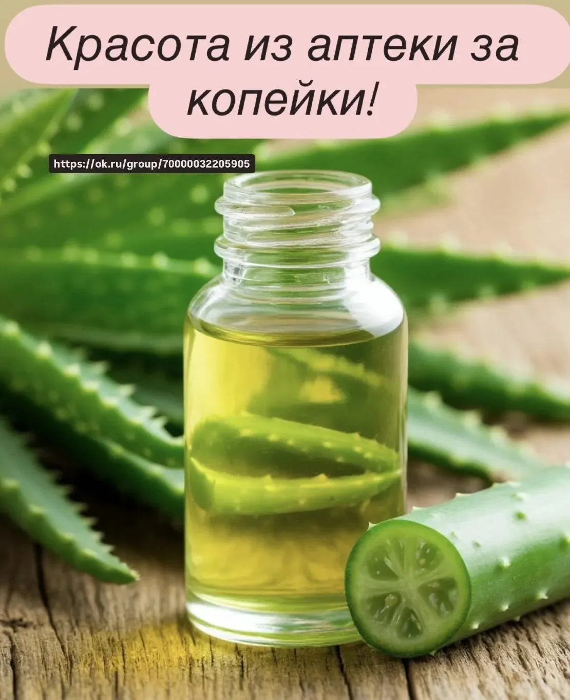 Экстракт алоэ широко используется в косметике. 

Он содержит множество полезных веществ, таких как в