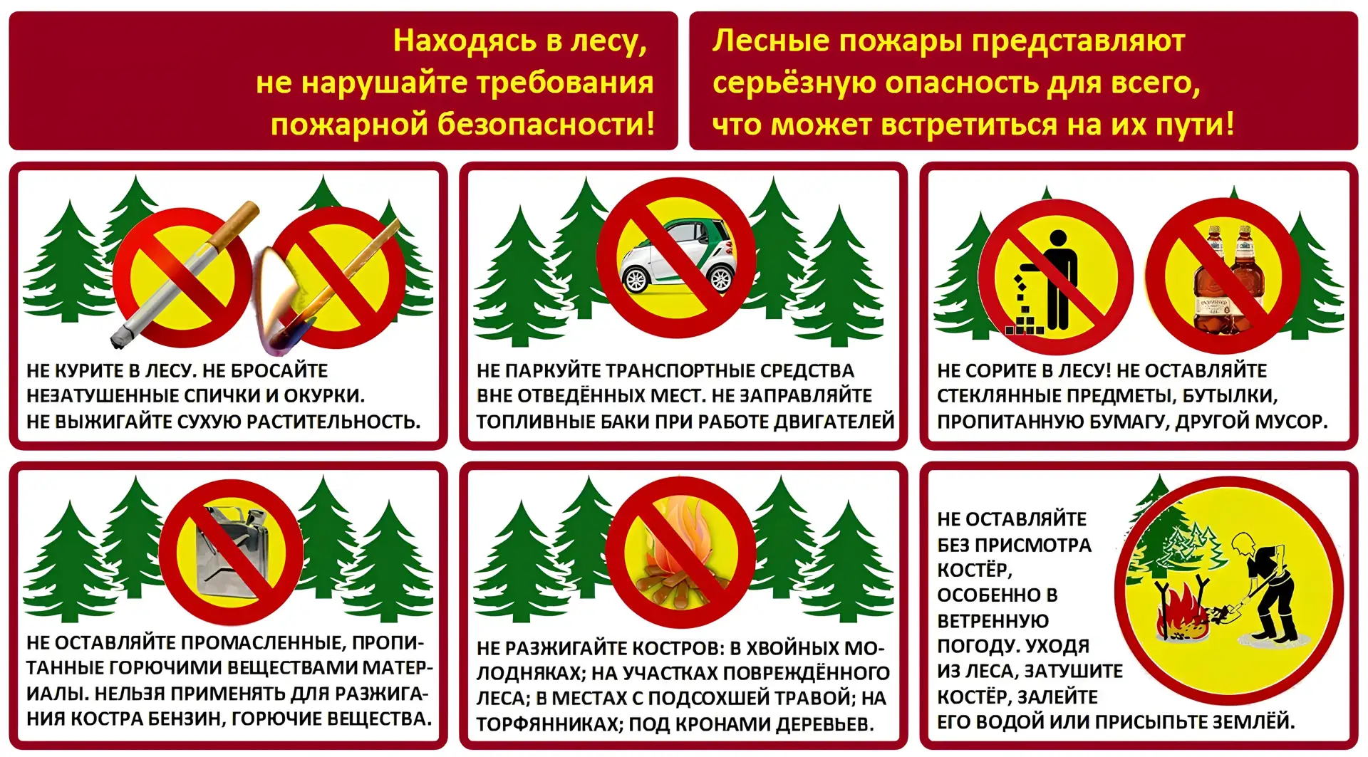 🌲 Собираясь в лес, не забывайте о правилах пожарной безопасности!