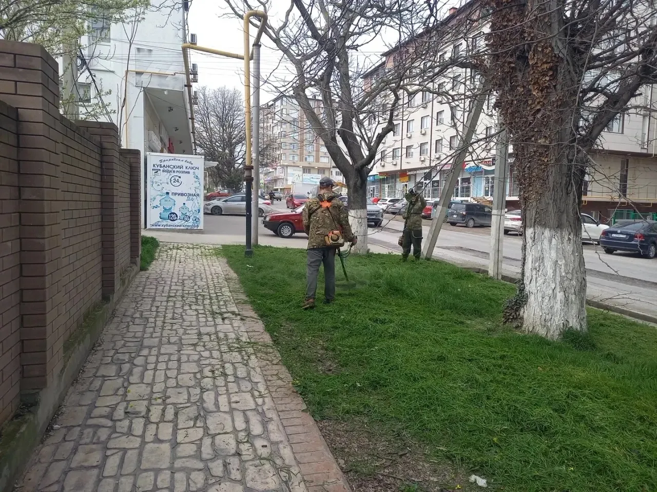 Центром благоустройства и озеленения начаты работы по покосу сорной растительности вдол...