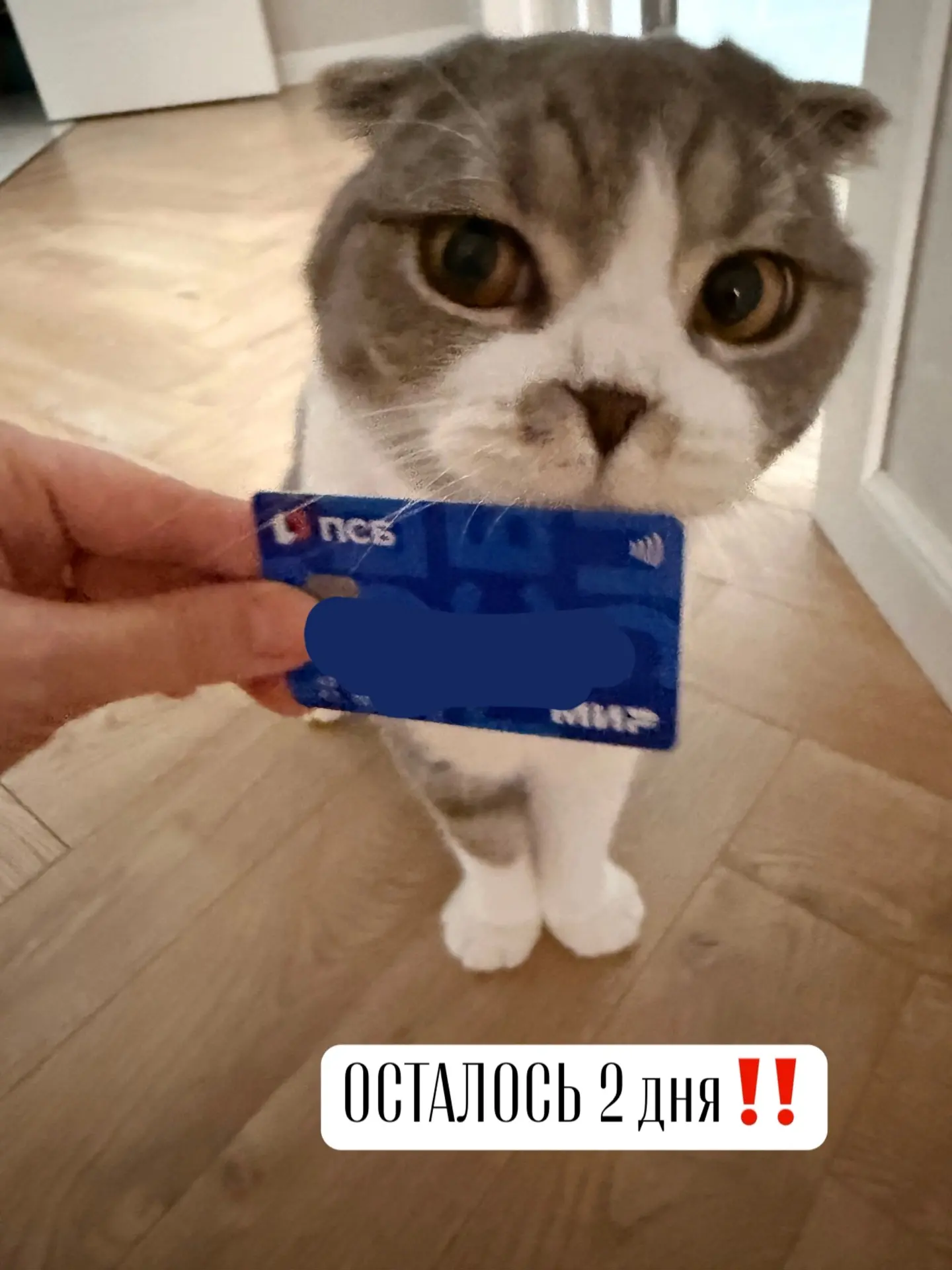 Ещё раз про карту‼️ НУЖНА ВСЕМ‼️