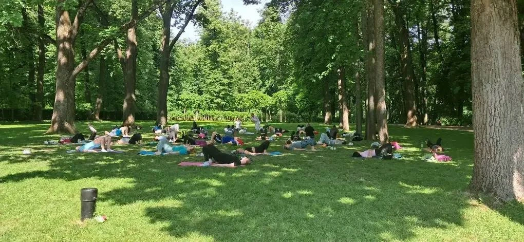 Лето в Остафьеве официально началось 🌿