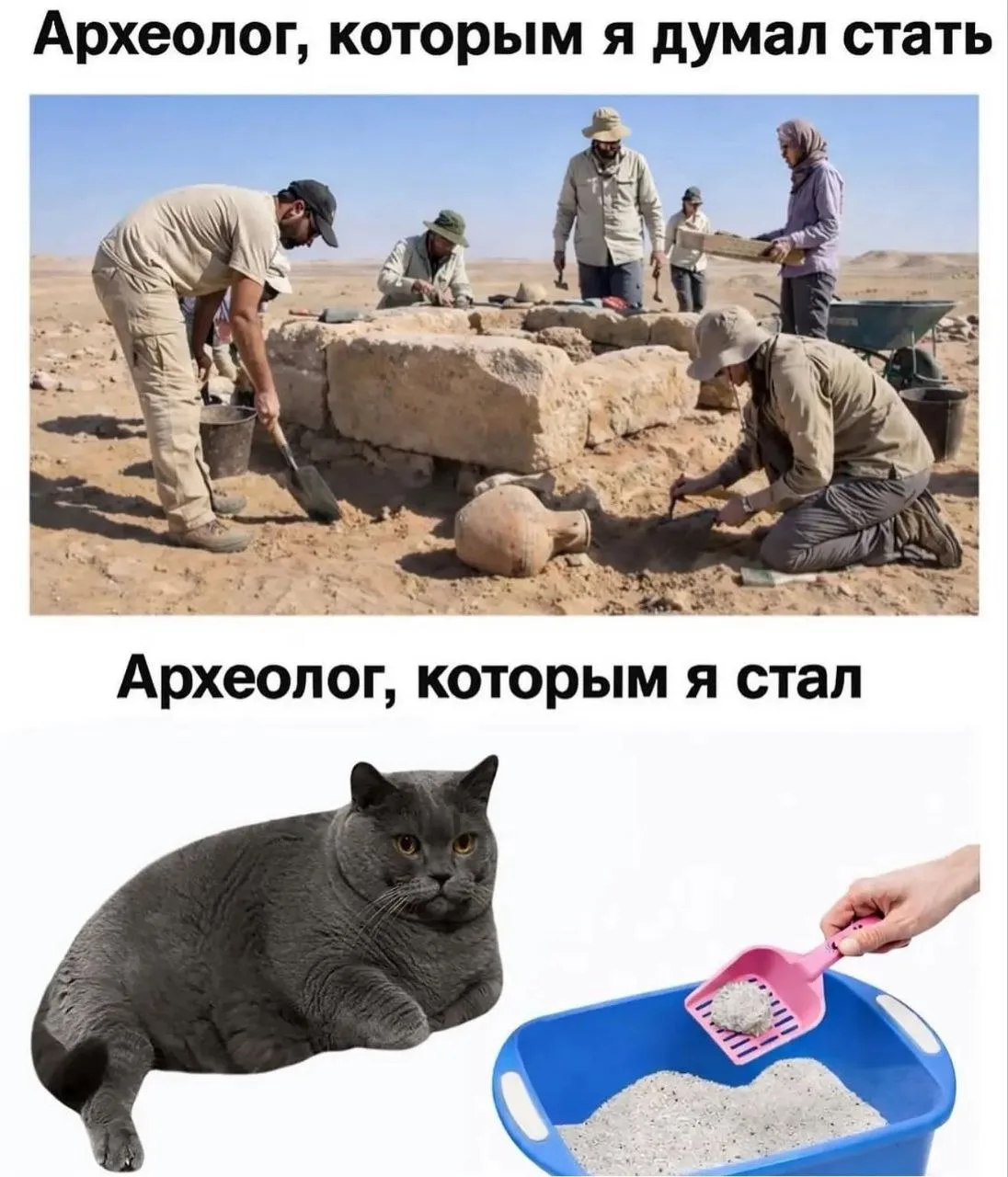 Наш канал ЛУЧИК РАДОСТИ ✨
