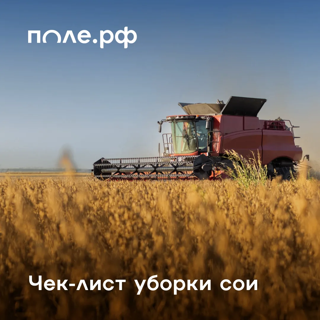 🚜 Продолжаем серию постов с рекомендациями экспертов по уборке различных культур.