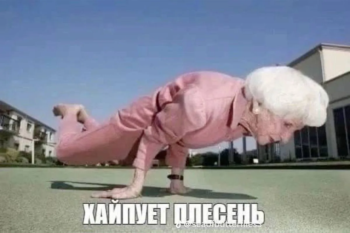 Все наши каналы