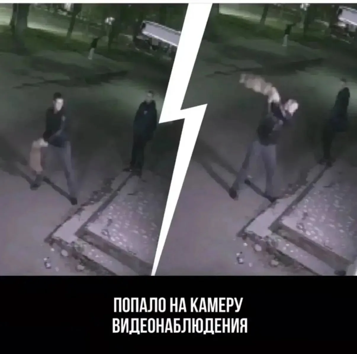 В Ярославле требуют ужесточить статью для живодера из Костромской области