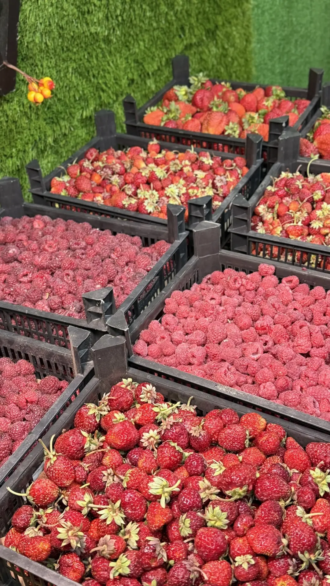Свежие фрукты, овощи, ягоды, орехи и морепродукты с бесплатной доставкой прямо к вашему...