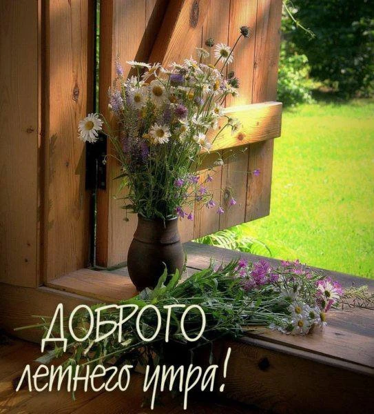 Прекрасного дня, замечательных эмоций,