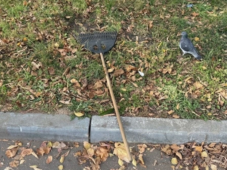 🍂 На Хорошёвском шоссе не убирают двор