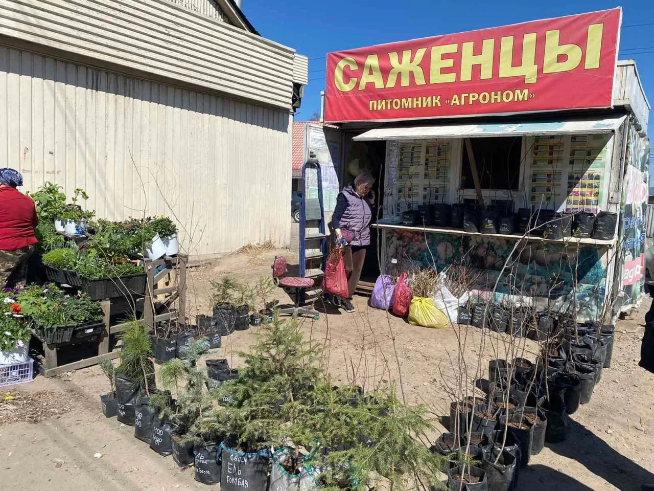В Улан-Удэ пройдет традиционная ярмарка «Наш сад-огород – 2026»  🌷 15 и 16 мая на двух площадках гор
