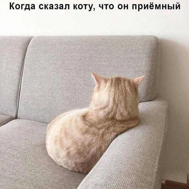 Ветер с Моря Дул