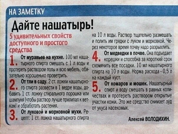 НАШИ КАНАЛЫ: