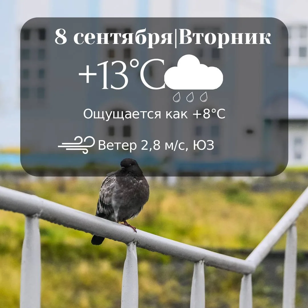 Прогноз погоды