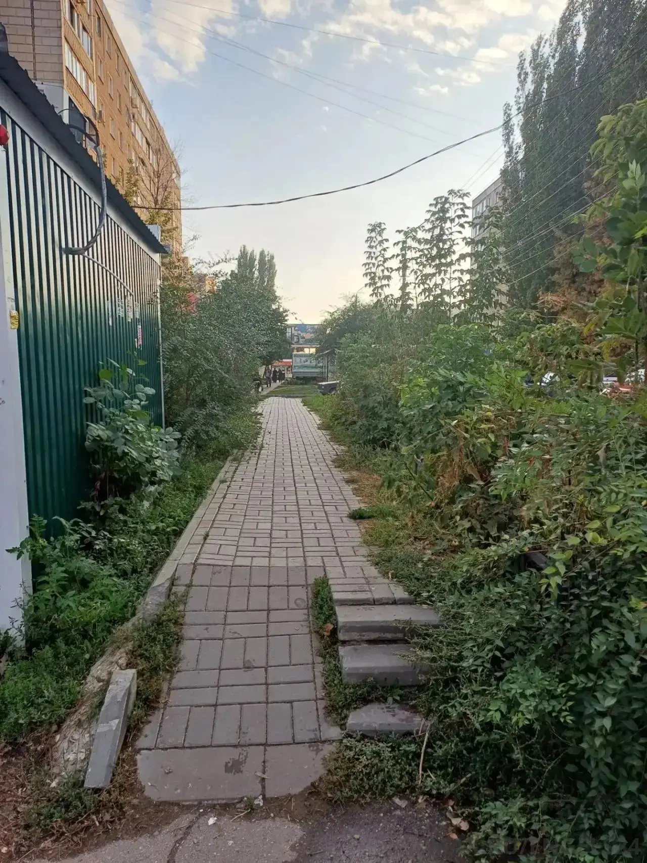 От подписчика: