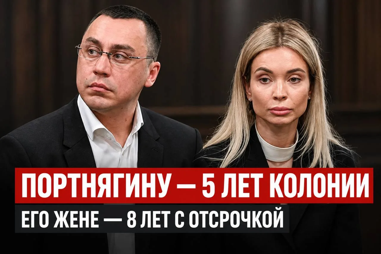 Дмитрия Портнягина приговорили к пяти годам колонии