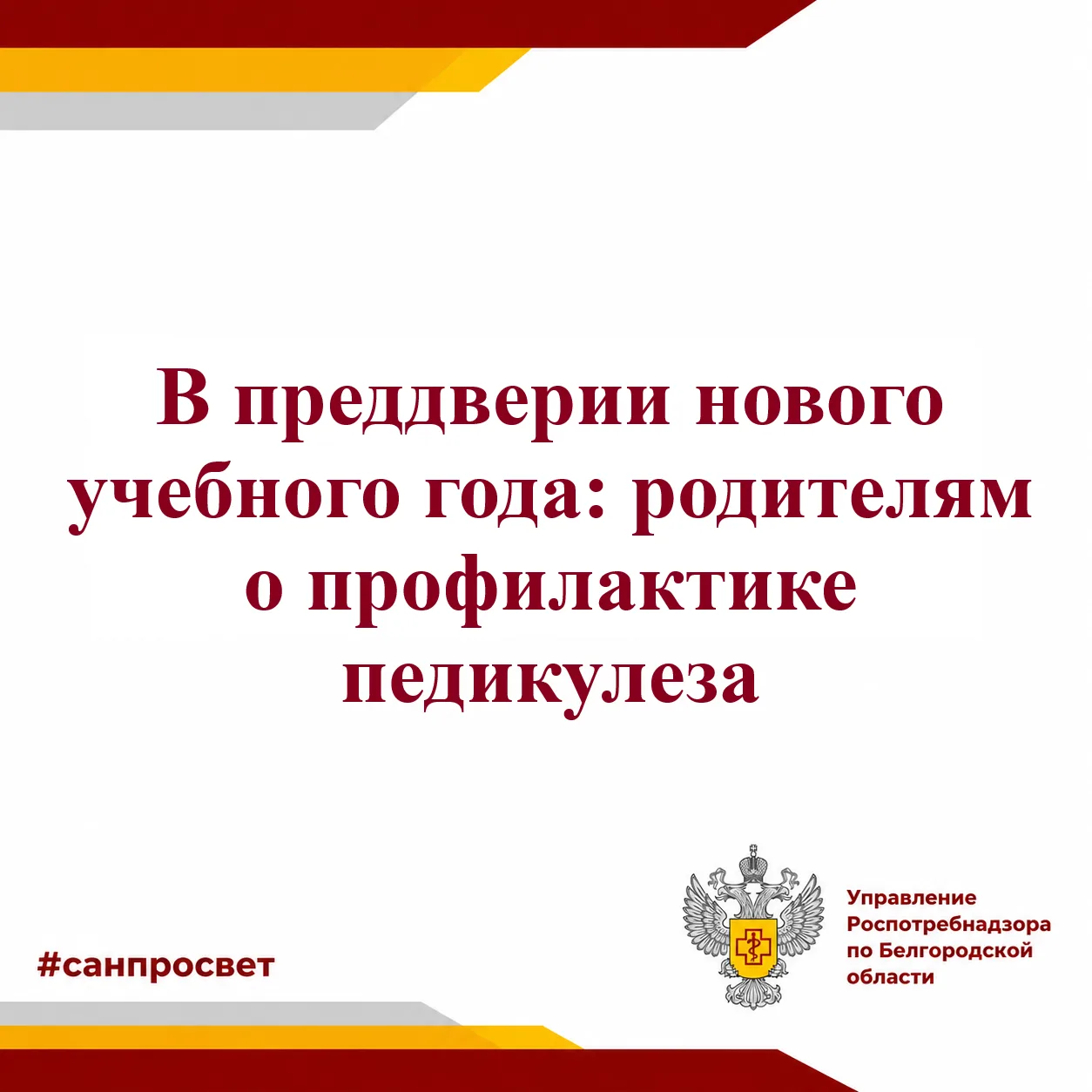 В преддверии нового учебного года: родителям о профилактике педикулеза.