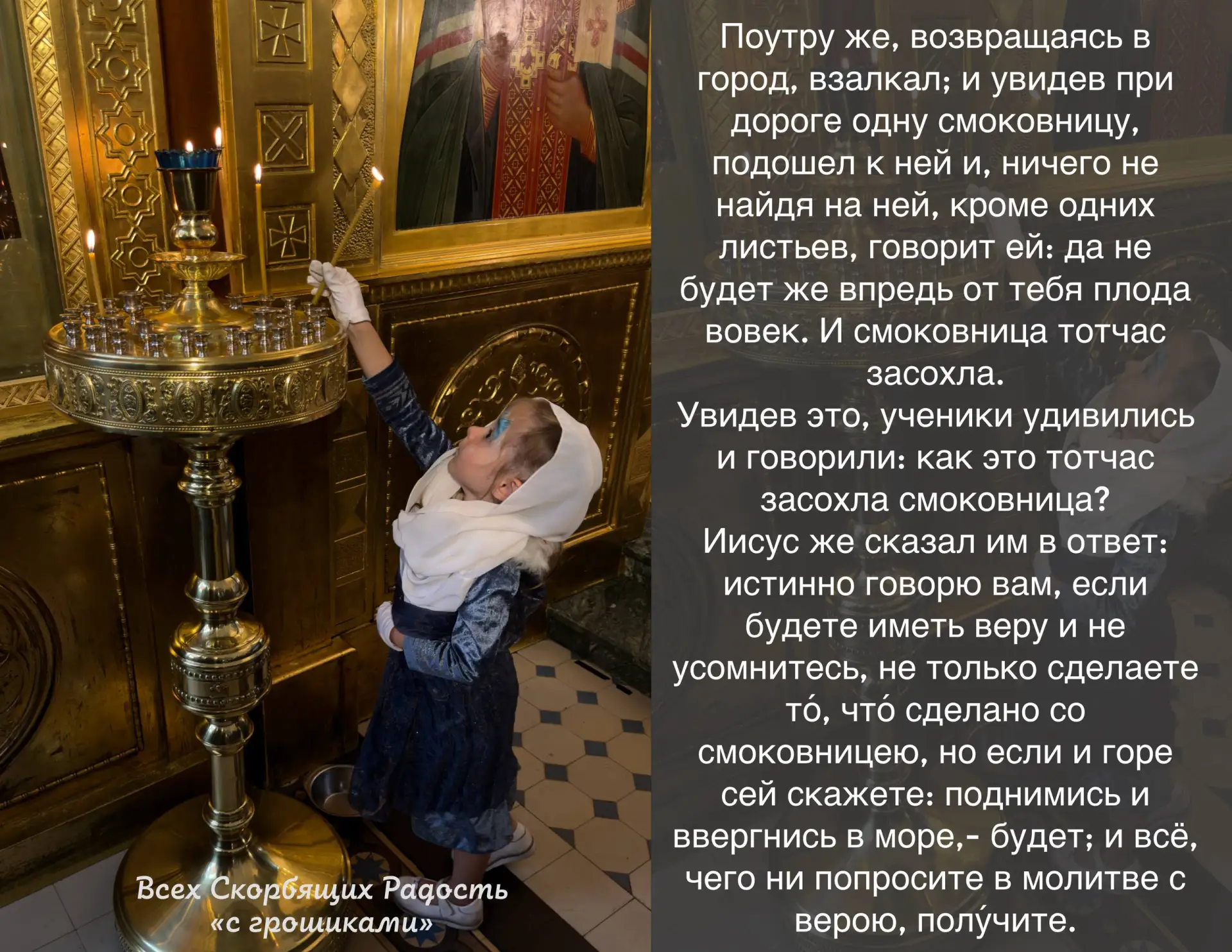📖 Евангелие сегодняшнего дня Мф. 21:18-22                                                          