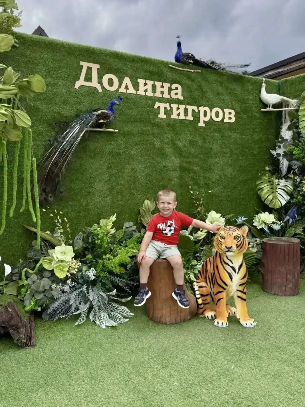 Высокогорные приключения: Марк отыскал тигров и альпак среди облаков Архыза

⛰️ Воспитанник нашей до