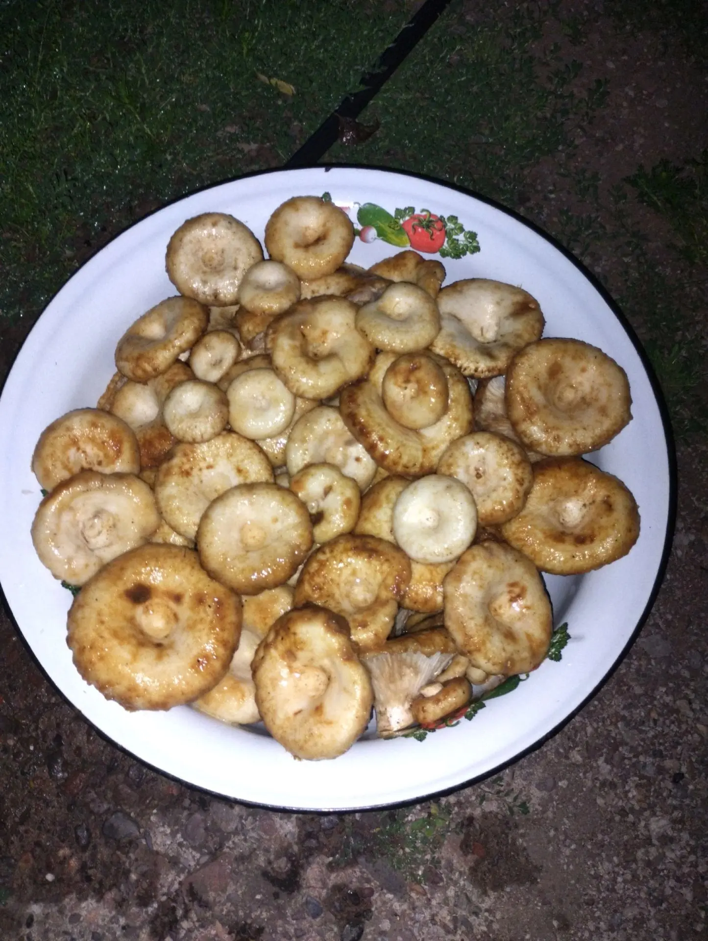 Груз дочки 🤤☺