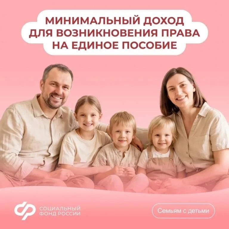 Минимальный доход для возникновения права на единое пособие
