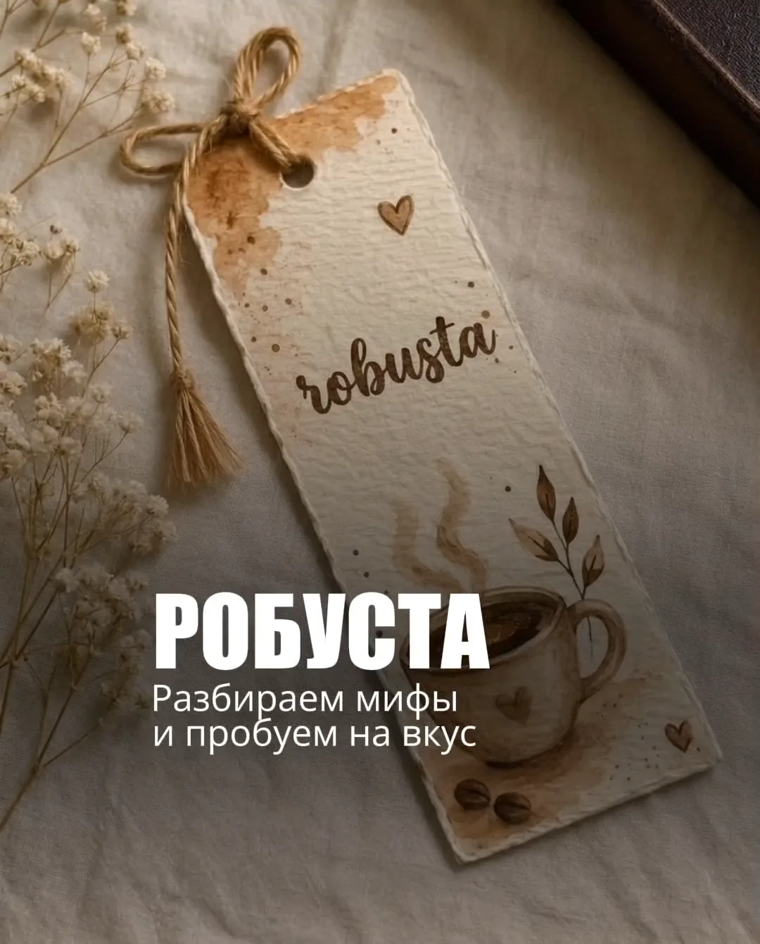 Робуста: разбираем мифы и пробуем на вкус ☕️✨